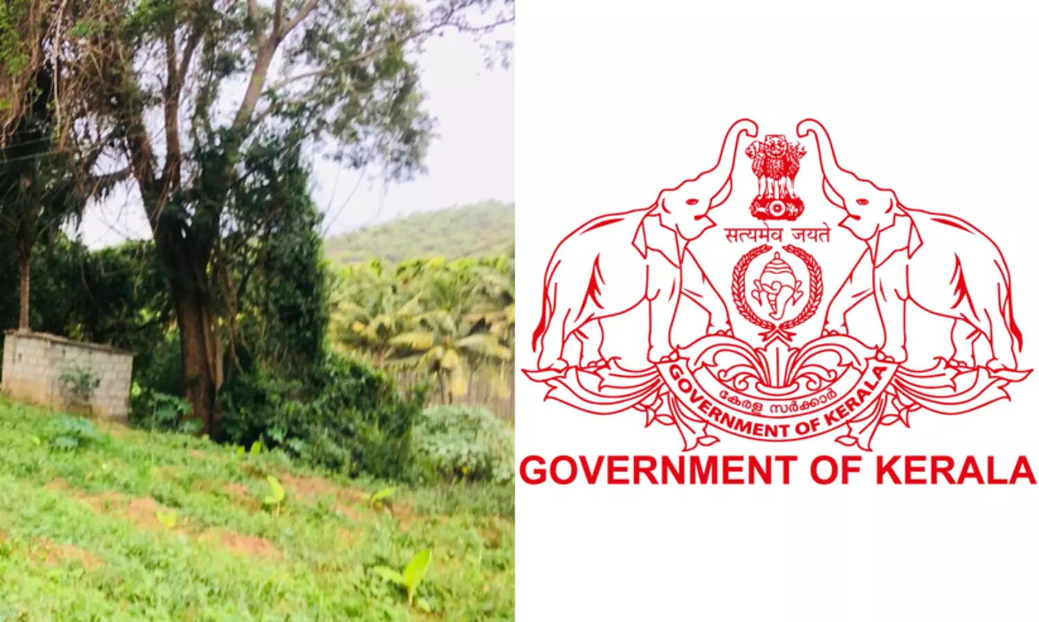 ഭൂപരിഷ്‍കരണ നിയമവ്യവസ്ഥകൾക്ക് അട്ടപ്പാടിയിൽ പുല്ലുവില; ഗുരുതര ക്രമക്കേടെന്ന് റവന്യൂ റിപ്പോർട്ട്