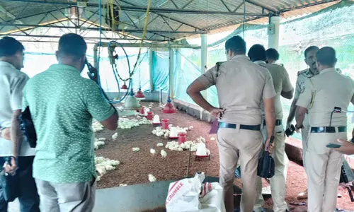 ഷോ​ക്കേ​റ്റ് സ​ഹോ​ദ​ര​ങ്ങ​ളു​ടെ മ​ര​ണം നാ​ടി​​െന്റ വേ​ദ​ന​യാ​യി