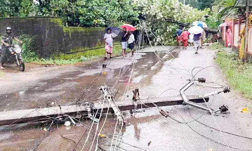 മി​ന്ന​ൽ ചു​ഴ​ലി​യി​ൽ ജി​ല്ല​യു​ടെ വി​വി​ധ ഭാ​ഗ​ങ്ങ​ളി​ൽ വ്യാ​പ​ക​നാ​ശം