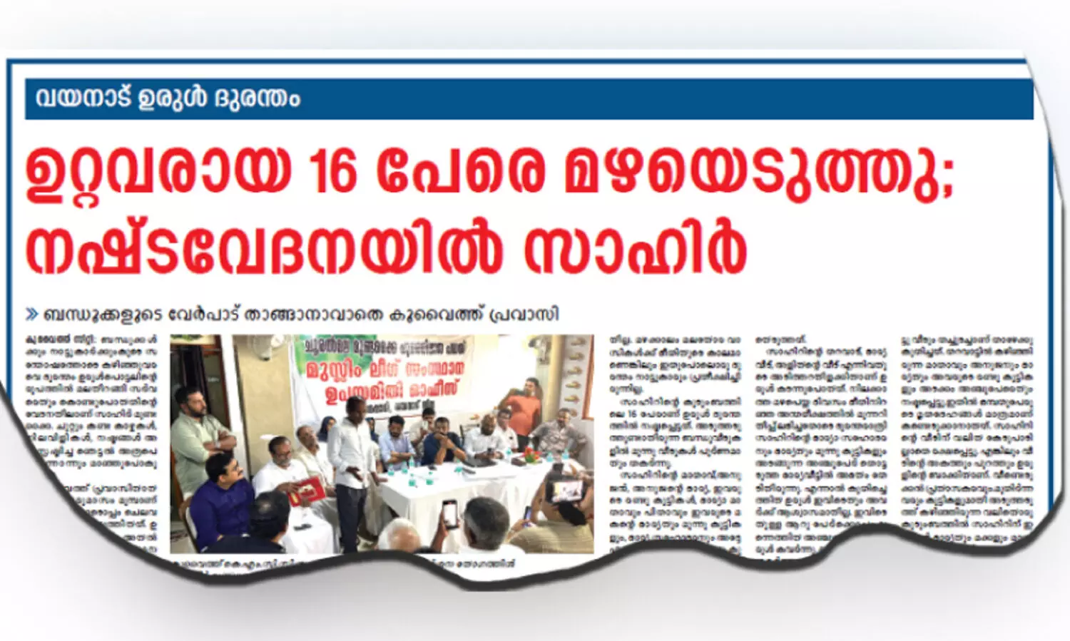 representative image