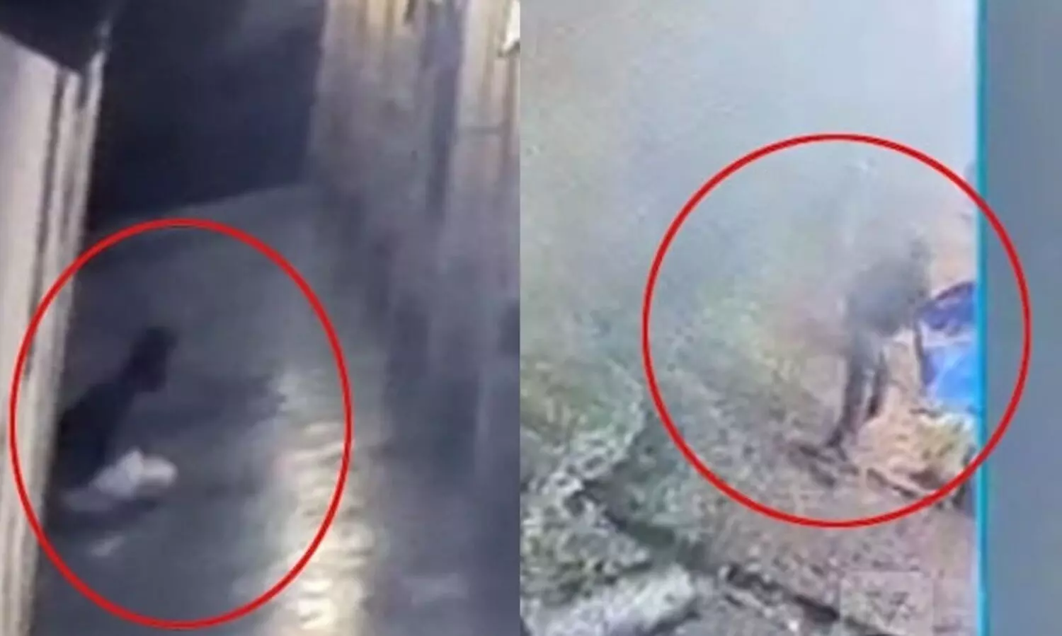 ആദ്യം ഒരു തുണി പുറത്തേക്കിട്ടു, സെല്ലിന്റെ കമ്പി അറുത്തുമാറ്റിയ വിടവിലൂടെ ഇഴഞ്ഞുനീങ്ങി, പുറത്തിറങ്ങി മൂന്നുതവണ തിരിച്ചുപോയി സാധനങ്ങൾ എടുത്തു; ഗോവിന്ദച്ചാമി ജയില്‍ ചാടാനെടുത്തത് മൂന്ന് മണിക്കൂർ, ദൃശ്യങ്ങൾ പുറത്ത് -വിഡിയോ