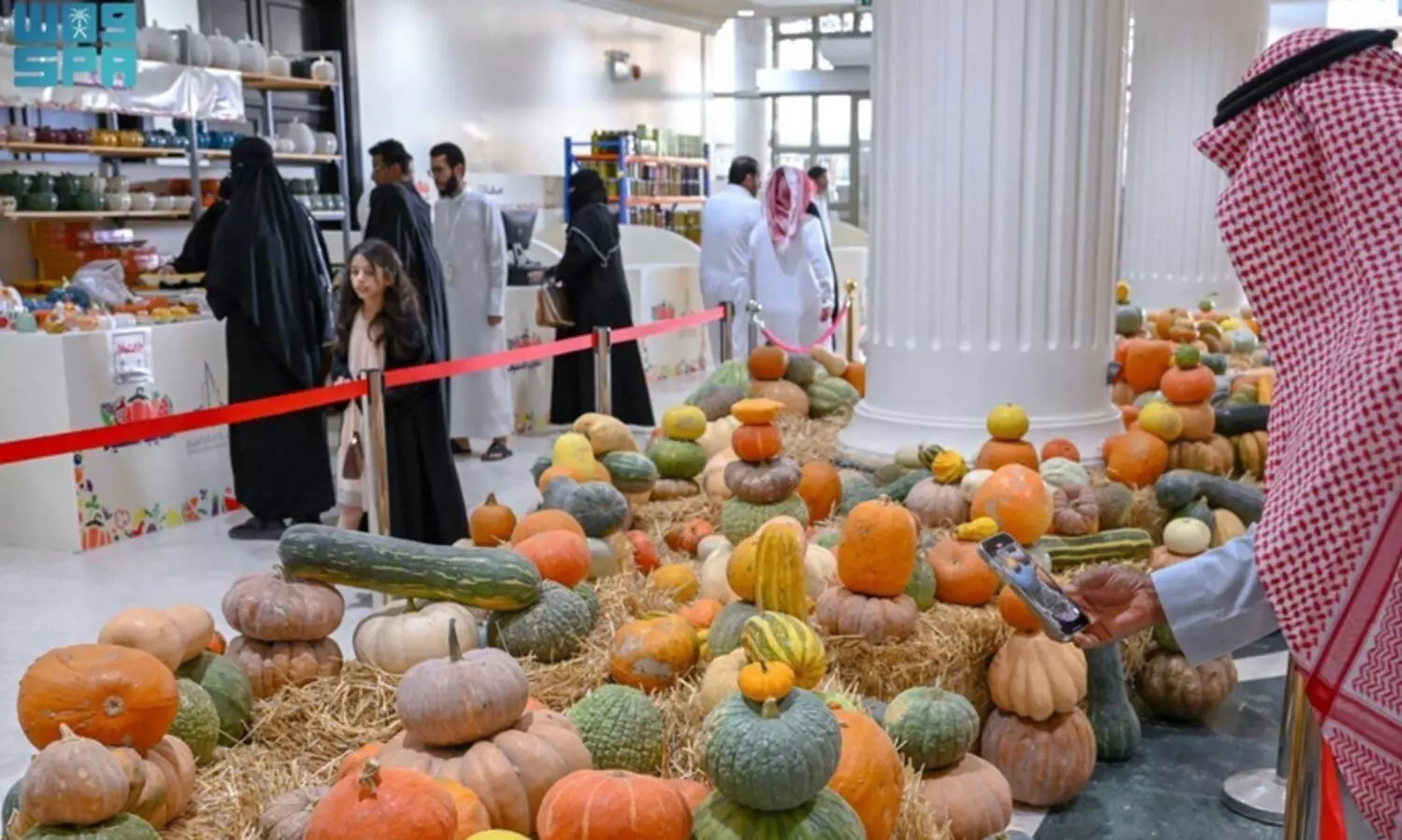 500 കിലോയിലേറെ ഭാരമുള്ള മത്തങ്ങകൾ, അത്ഭുത കാഴ്​ച ബുറൈദ പഴമേളയിൽ