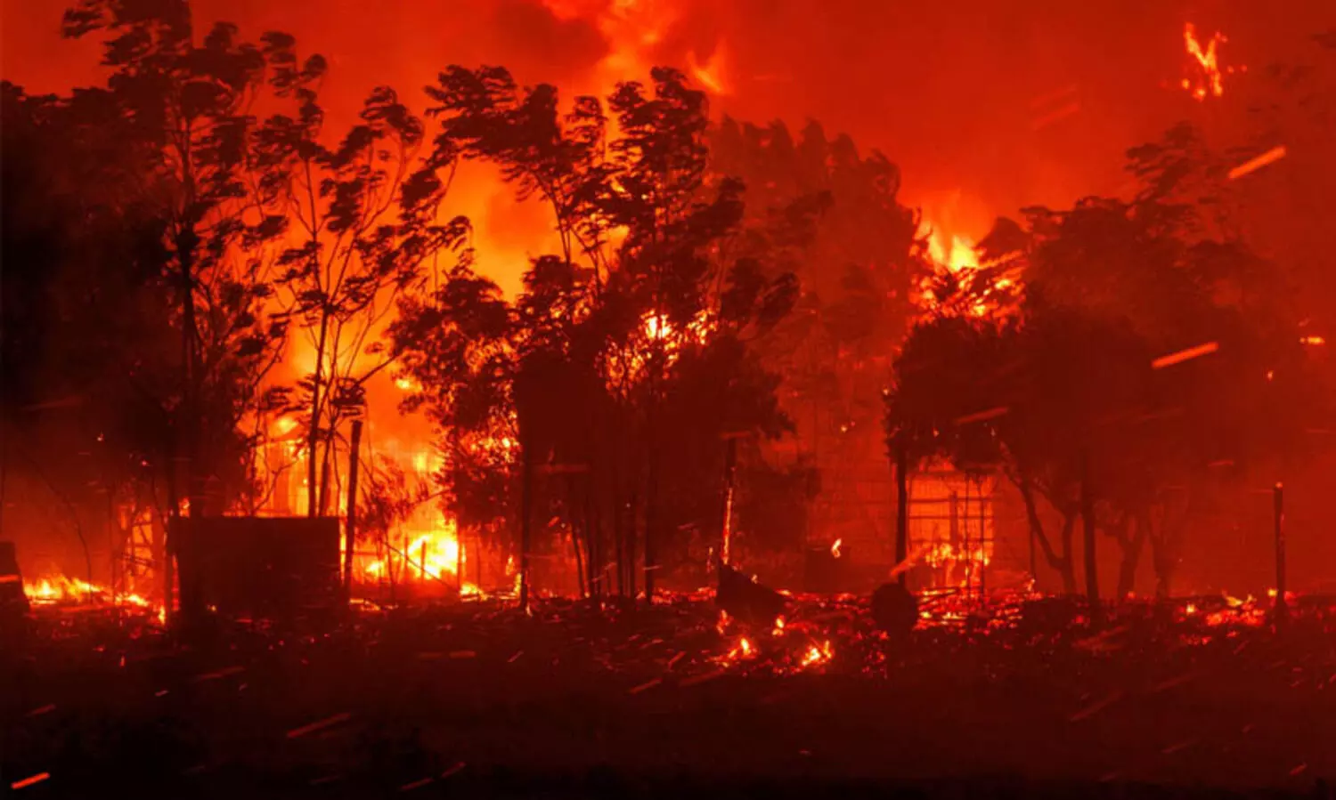 ഗ്രീസിൽ പടരുന്ന കാട്ടുതീ നിയന്ത്രണവിധേയം; യൂറോപ്യൻ യൂനിയന്റെ സഹായമെത്തി
