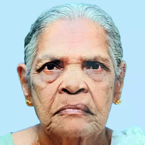 സൗ​മി​നി