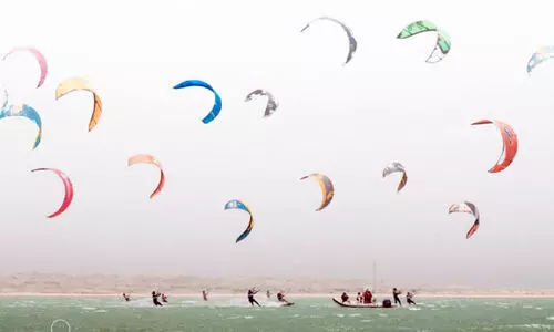 kite festival kite festival