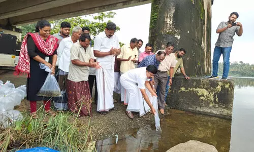താന്നി കായലില്‍ കരിമീന്‍, പൂമീന്‍ കുഞ്ഞുങ്ങളെ നിക്ഷേപിച്ചു