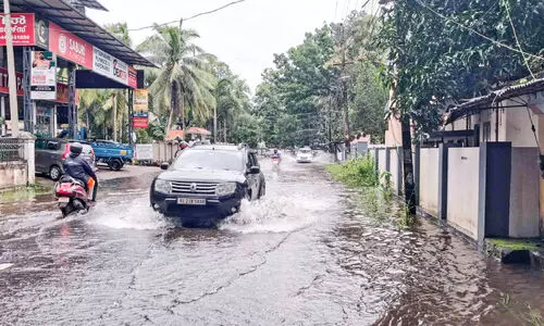 കനത്ത മഴ; ജില്ലയിൽ 99.17 ല​ക്ഷ​ത്തി​ന്‍റെ കൃ​ഷി നാ​ശം, കെ.​എ​സ്.​ഇ.​ബി​ക്ക് 41.46 ല​ക്ഷ​ത്തി​ന്‍റെ ന​ഷ്​​ടം