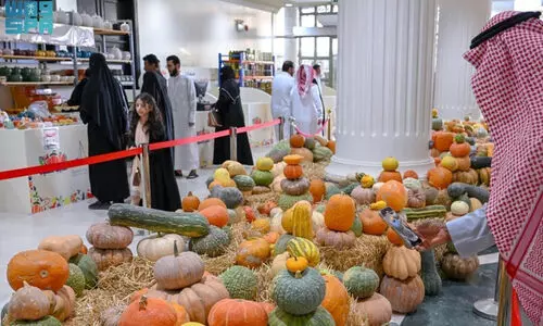 500 കിലോയിലേറെ ഭാരമുള്ള മത്തങ്ങകൾ, അത്ഭുത കാഴ്​ച ബുറൈദ പഴമേളയിൽ