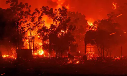 ഗ്രീസിൽ പടരുന്ന കാട്ടുതീ നിയന്ത്രണവിധേയം; യൂറോപ്യൻ യൂനിയന്റെ സഹായമെത്തി