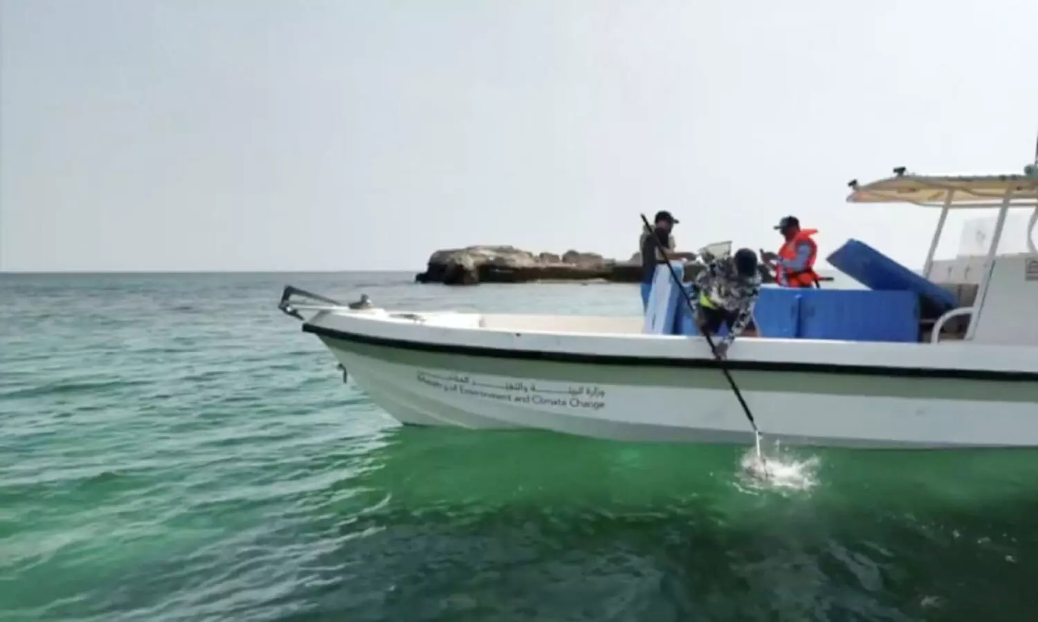 സീ​ലൈ​ൻ നാ​ചു​റ​ൽ റി​സ​ർ​വി​ൽ മ​ത്സ്യ​ക്കു​ഞ്ഞു​ങ്ങ​ളെ തു​റ​ന്നു​വി​ട്ടു