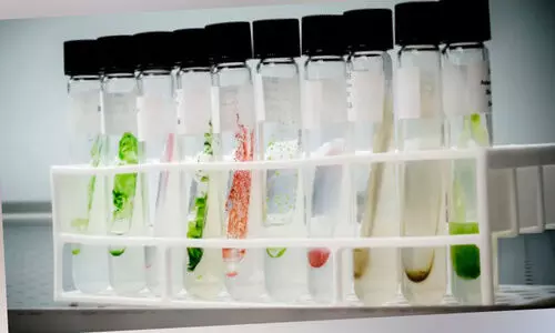 Natural colors now in foods