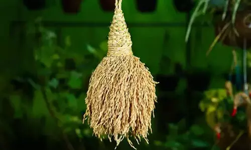 നി​റ​പു​ത്ത​രി ആ​ഘോ​ഷം 30ന്