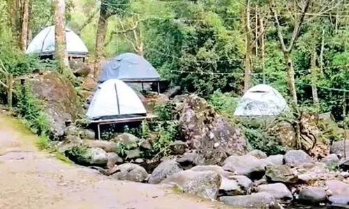 അ​ന​ധി​കൃ​ത ടൂ​റി​സം കേ​ന്ദ്ര​ങ്ങ​ൾ നി​യ​മവി​ധേ​യ​മാ​ക്കാ​ൻ ന​ട​പ​ടി; മാ​ര്‍ഗ​രേ​ഖ ത​യാ​റാ​ക്കി