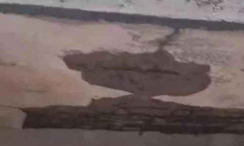 സൂക്ഷിക്കുക, ഇവിടെ അപകടം പതിയിരിക്കുന്നു