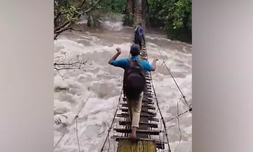 തൂക്കു പാലത്തിൽ ജീവഭയത്തോടെ വനപാലകർ