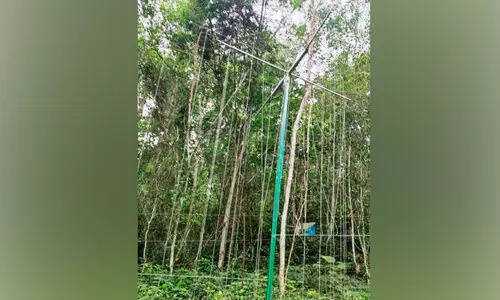 കാട്ടാനക്കൊന്നും കാട്ടാനാവില്ല..!