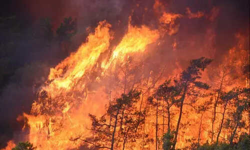 തുർക്കിയയിൽ കാട്ടുതീ പടരുന്നു, രണ്ട് അഗ്നിരക്ഷാസേനാംഗങ്ങൾ കൂടി മരിച്ചു; മരണം 17 ആയി