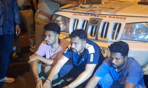 ചാലക്കുടിയിൽ കഞ്ചാവ് വേട്ട; മൂന്നുപേർ പിടിയിൽ