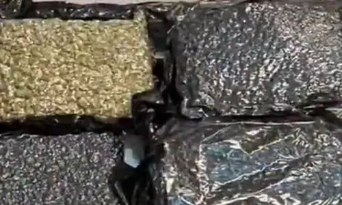 കഞ്ചാവുമായി സലാല വിമാനത്താവളത്തിൽ  ഇന്ത്യക്കാരൻ പിടിയിൽ