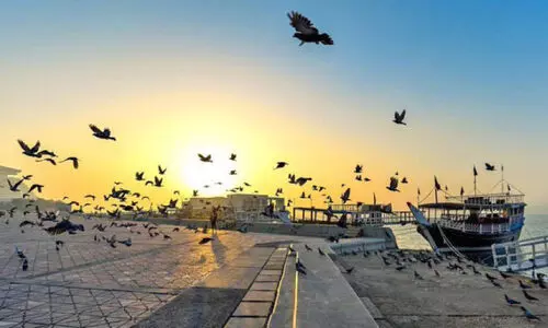 അസ്ഥിര കാലാവസ്ഥയുമായി ജി.സി.സി മേഖല; ഖത്തറിൽ ചൂടേറിയ ദിനങ്ങൾ അസ്ഥിര കാലാവസ്ഥയുമായി ജി.സി.സി മേഖല; ഖത്തറിൽ ചൂടേറിയ ദിനങ്ങൾ