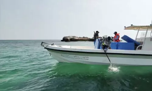 സീ​ലൈ​ൻ നാ​ചു​റ​ൽ റി​സ​ർ​വി​ൽ മ​ത്സ്യ​ക്കു​ഞ്ഞു​ങ്ങ​ളെ തു​റ​ന്നു​വി​ട്ടു