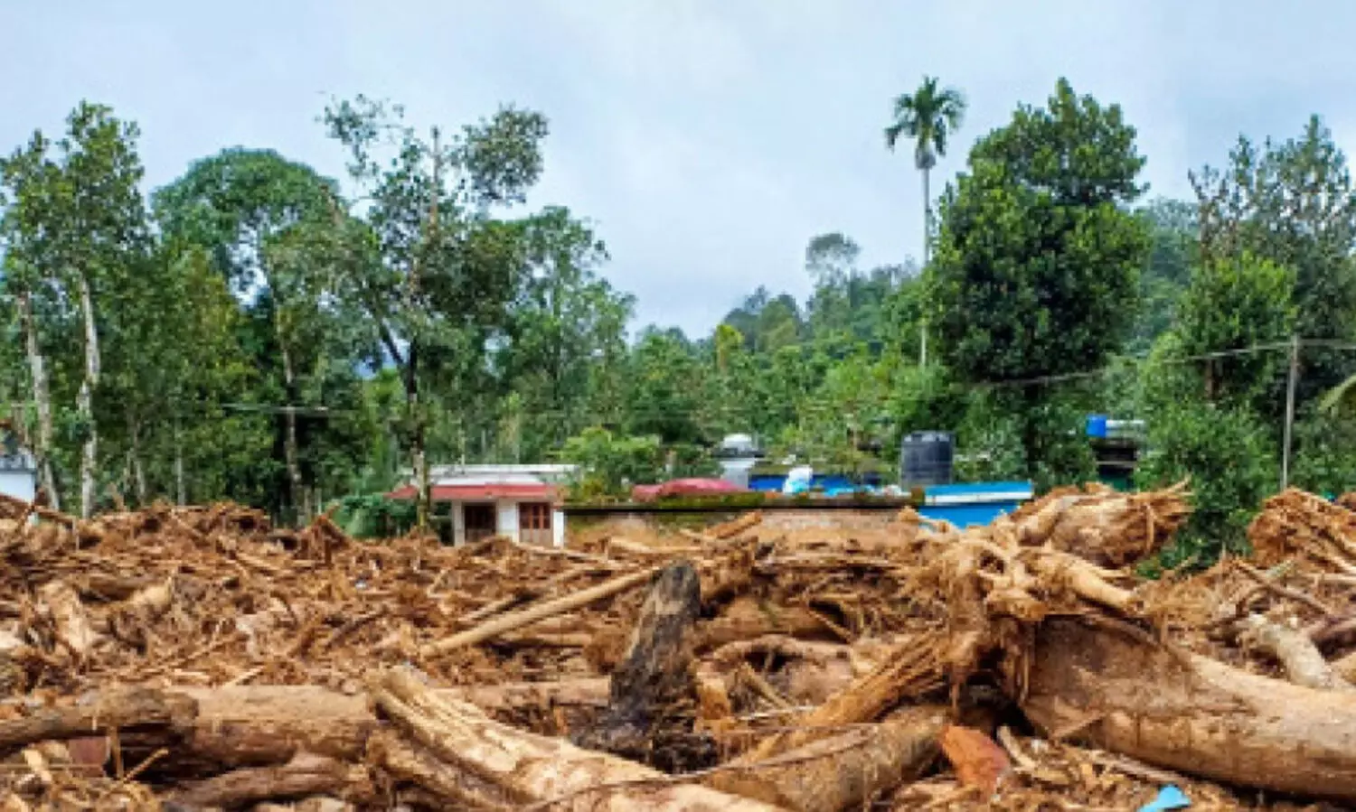 വയനാട് ഉരുൾപ്പൊട്ടൽ; നി​ഷ്കാ​സി​ത​ർ ഇ​നി എ​ന്തു ചെ​യ്യ​ണം?