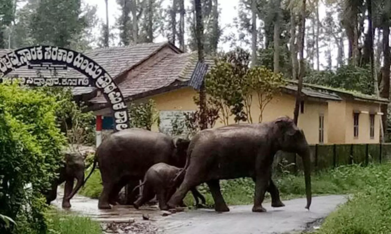 മ​നു​ഷ്യ- മൃ​ഗ സം​ഘ​ർ​ഷം;മാ​ർ​ഗ​നി​ർ​ദേ​ശ​വു​മാ​യി വ​നം​വ​കു​പ്പ്