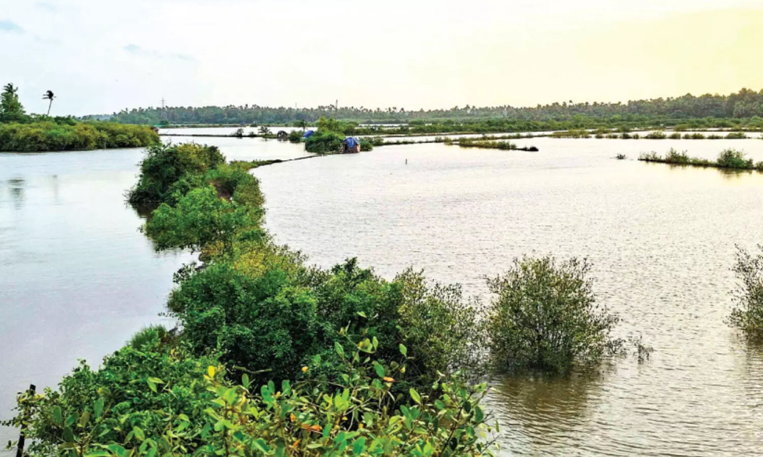 വിനോദ സഞ്ചാര വികസന പദ്ധതി; മാള ചാലിനെ ഉൾപ്പെടുത്തുമെന്ന പ്രഖ്യാപനം ജലരേഖയായി