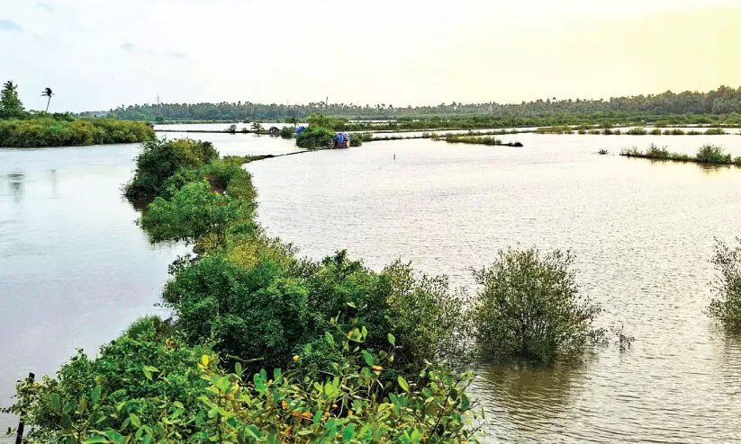 വിനോദ സഞ്ചാര വികസന പദ്ധതി; മാള ചാലിനെ ഉൾപ്പെടുത്തുമെന്ന പ്രഖ്യാപനം ജലരേഖയായി വിനോദ സഞ്ചാര വികസന പദ്ധതി; മാള ചാലിനെ ഉൾപ്പെടുത്തുമെന്ന പ്രഖ്യാപനം ജലരേഖയായി