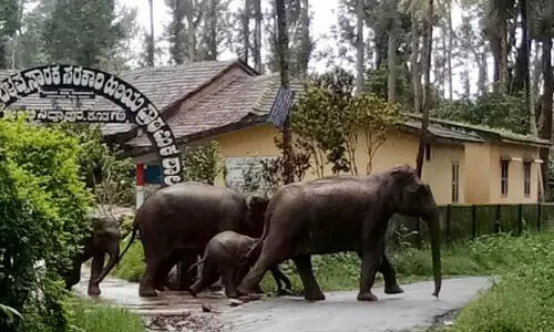 മ​നു​ഷ്യ- മൃ​ഗ സം​ഘ​ർ​ഷം;മാ​ർ​ഗ​നി​ർ​ദേ​ശ​വു​മാ​യി വ​നം​വ​കു​പ്പ്