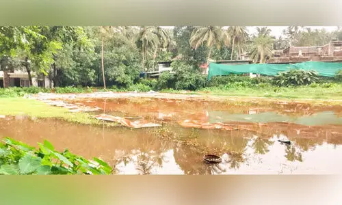 വ്യാപാര മേളയുടെ അവശിഷ്ടം പറമ്പിൽ, കൊതുക് ശല്യത്തിൽ നാട്ടുകാർ ദുരിതത്തിൽ