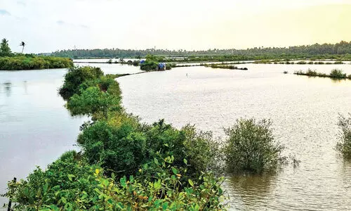വിനോദ സഞ്ചാര വികസന പദ്ധതി; മാള ചാലിനെ ഉൾപ്പെടുത്തുമെന്ന പ്രഖ്യാപനം ജലരേഖയായി
