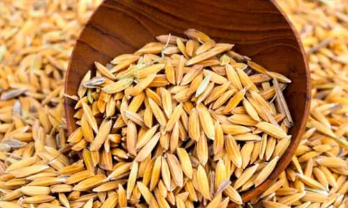 കേന്ദ്ര വിഹിതത്തിന്‌ കാത്തുനിൽക്കാതെ നെല്ല് സംഭരണത്തിന്‌ 33.89 കോടി രൂപ കൂടി അനുവദിച്ച് സംസ്ഥാന സർക്കാർ