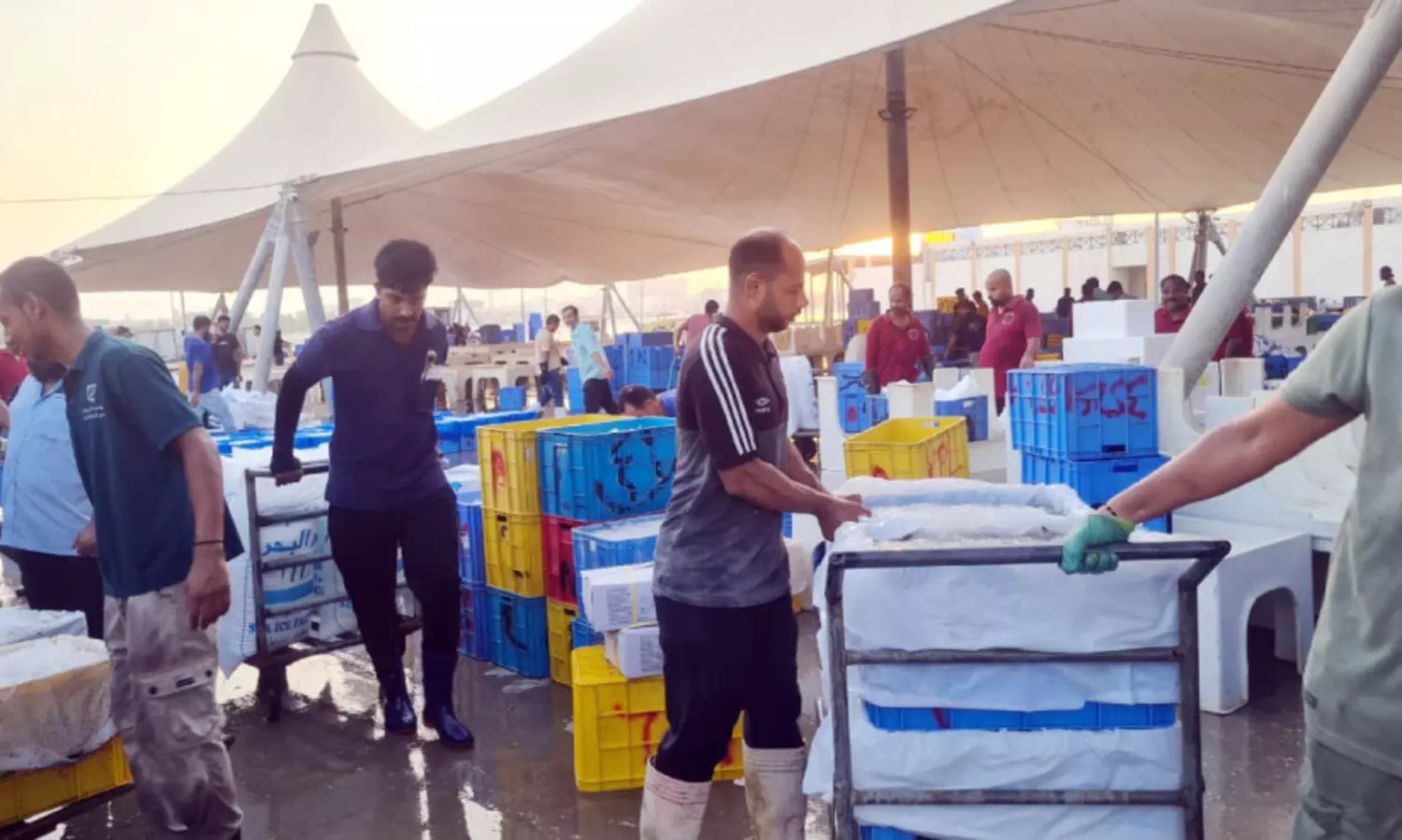 നാളെ മുതൽ ചെമ്മീൻ ചാകര; കടൽത്തീരങ്ങളിൽ ഉത്സവനാളുകൾ