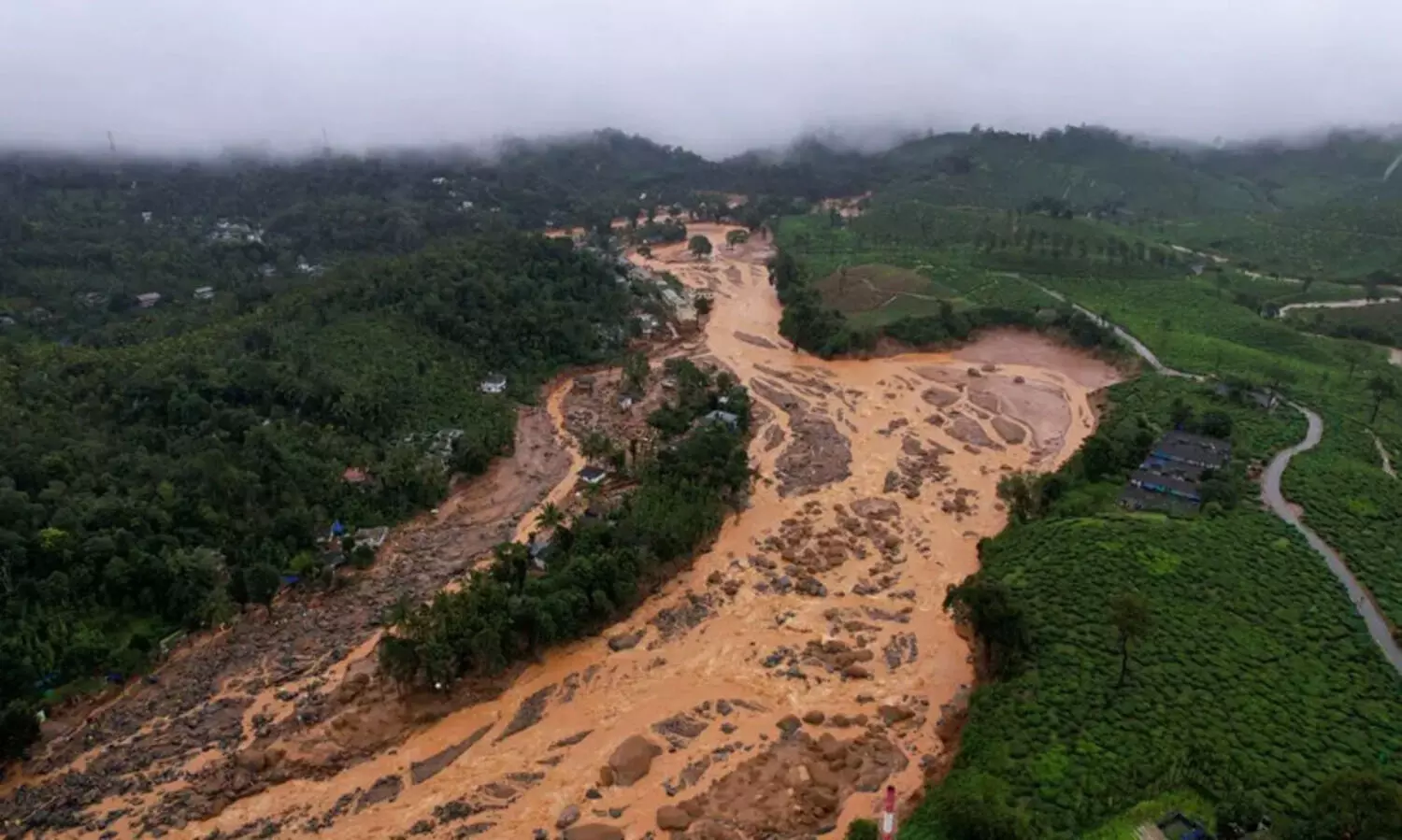 പ്രാ​ണ​ൻ ബാ​ക്കി​യാ​യ​വ​രു​ടെ തു​ട​ർ​ജീ​വി​തം