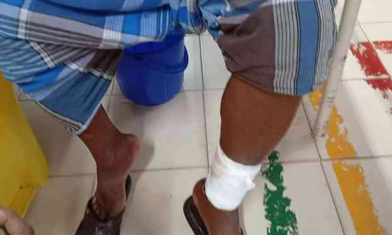 നിലമേലിൽ തെരുവുനായ ശല്യം;10 പേർക്ക് കടിയേറ്റു