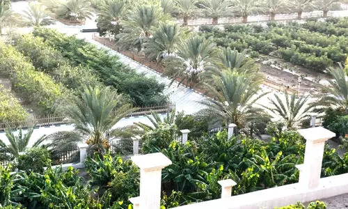 വാ​ലി റി​സോ​ർ​ട്ട്; അസീറിന്റെ പച്ചച്ചോലയിലെ ആഡംബരം