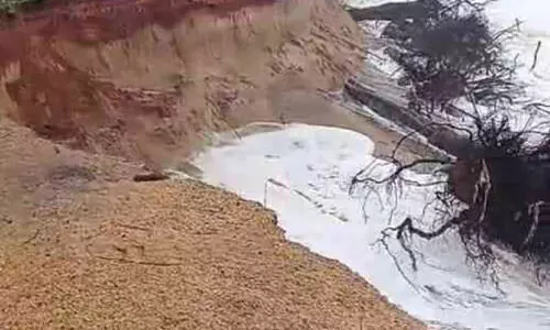 പെരിങ്കടിയിൽ കടലാക്രമണം രൂക്ഷം; അഞ്ച് വൈദ്യുതി തൂൺ കടലെടുത്തു പെരിങ്കടിയിൽ കടലാക്രമണം രൂക്ഷം; അഞ്ച് വൈദ്യുതി തൂൺ കടലെടുത്തു