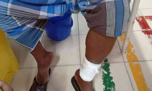 നിലമേലിൽ തെരുവുനായ ശല്യം;10 പേർക്ക് കടിയേറ്റു