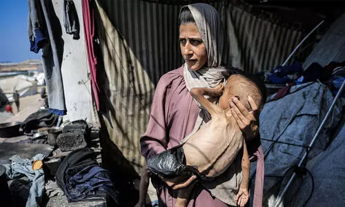 Israel starves seven more Palestinians to death in Gaza