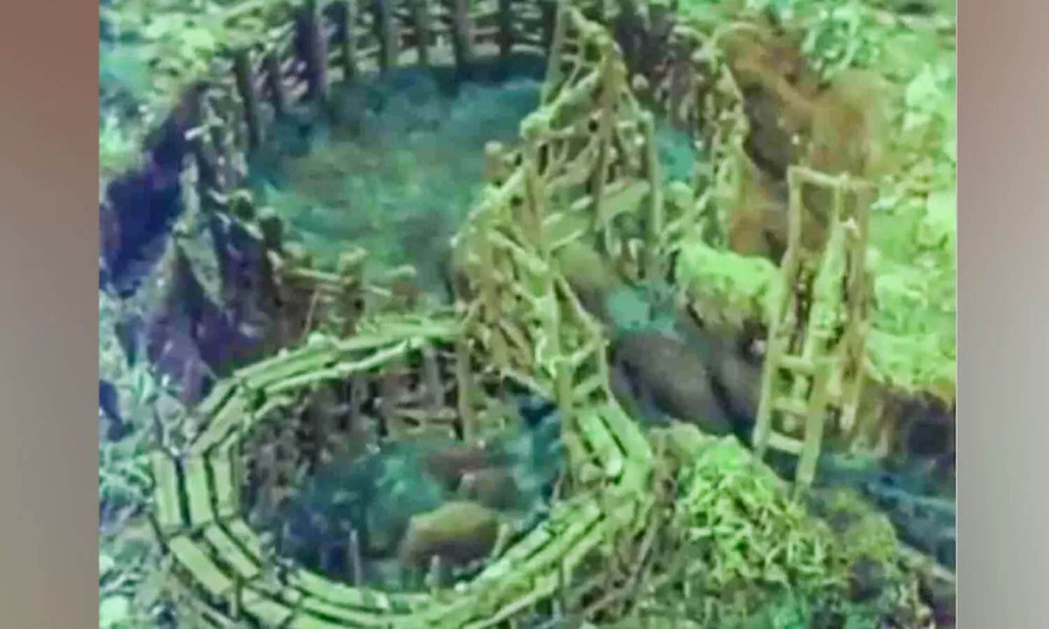 ആനകളെ വീഴ്ത്തിയിരുന്ന ഖെദ്ദ സമ്പ്രദായം ഓർമയായിട്ട്​ 151 വർഷം