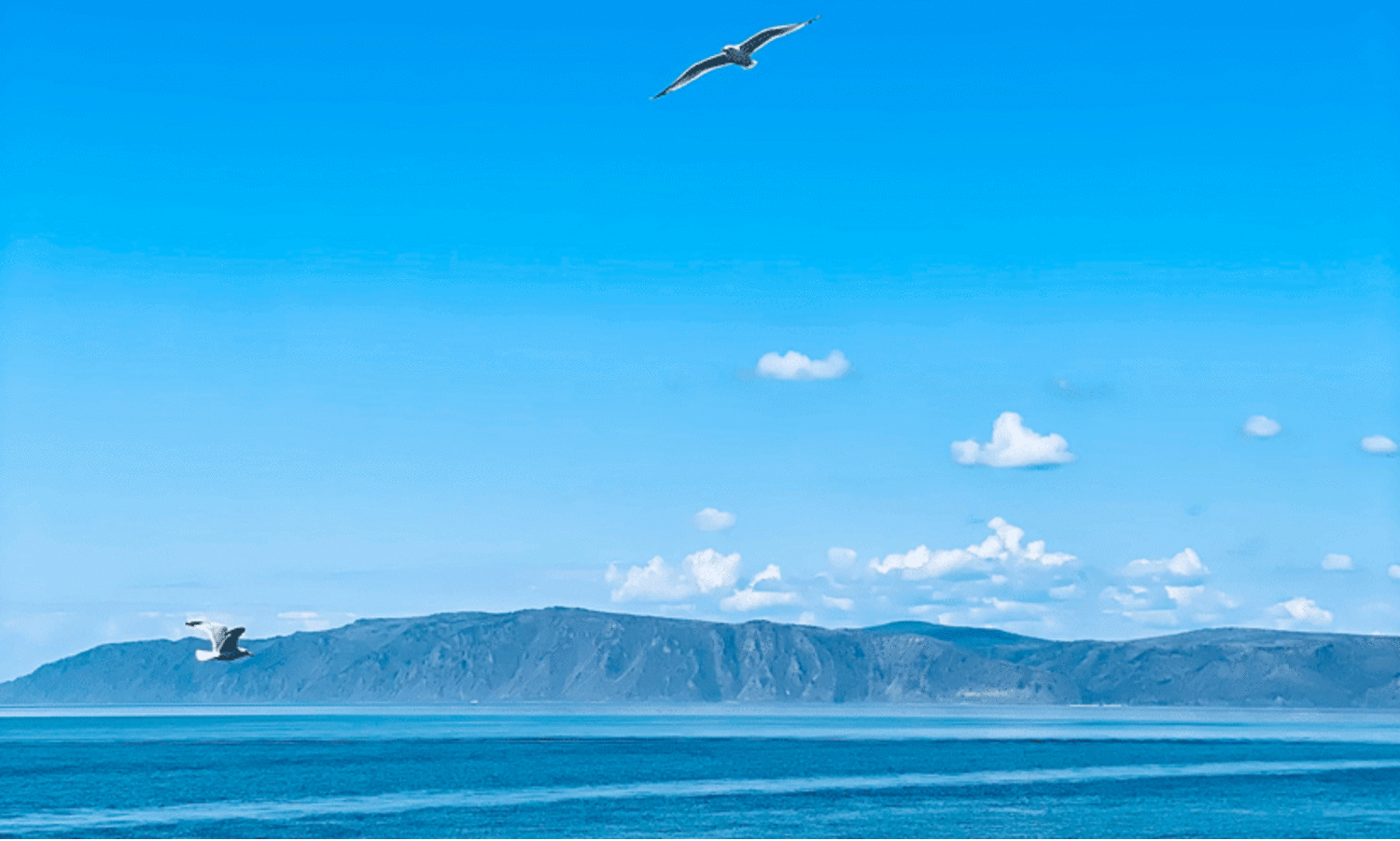 ‘ഇന്ത്യയുടെ മൊത്തം കരവിസ്തൃതിയുടെ രണ്ടര ഇരട്ടിയോളം വരുന്ന വനമേഖല, ലോകത്തിലെ ഏറ്റവും വലിയ മെട്രോ നെറ്റ്‌വർക്കുകളിൽ ഒന്ന്’ -വിസ്മയങ്ങളുടെ പറുദീസയായ റഷ‍്യയിലേക്കൊരു യാത്ര