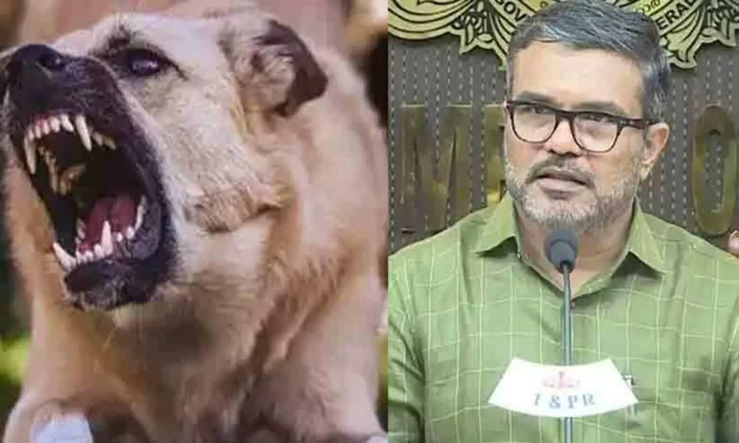 ദിവസവും 314 പേരെ നായ കടിക്കുന്നു, സർക്കാറിന്റെ കൈകൾ എ.ബി.സി ബന്ധിച്ചിരിക്കുകയാണ്; മന്ത്രി എം.ബി രാജേഷ്