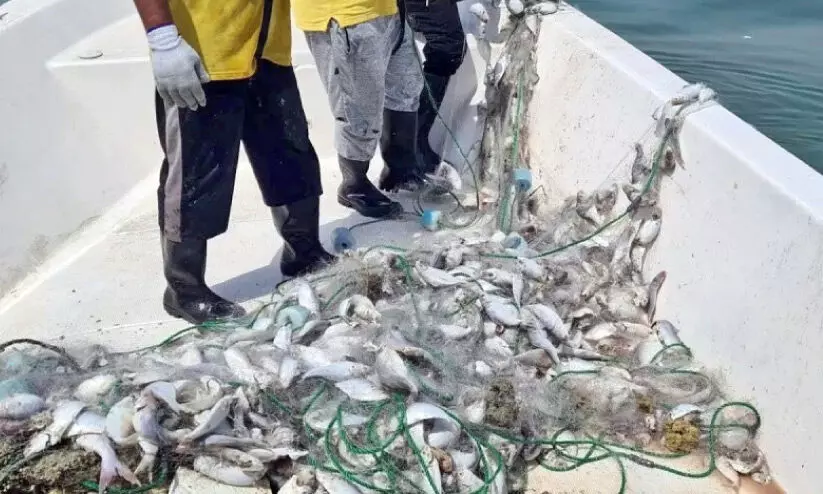 നിയമവിരുദ്ധ മത്സ്യബന്ധനവും സമുദ്ര മലിനീകരണവും; നടപടി വേണം നിയമവിരുദ്ധ മത്സ്യബന്ധനവും സമുദ്ര മലിനീകരണവും; നടപടി വേണം