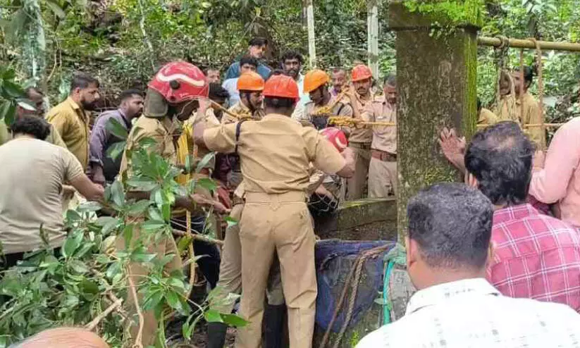 ര​ണ്ടു മ​ക്ക​ളു​മാ​യി അ​മ്മ കി​ണ​റ്റി​ല്‍ ചാ​ടി; ഒ​രു കു​ട്ടി​യു​ടെ നി​ല ഗു​രു​ത​രം