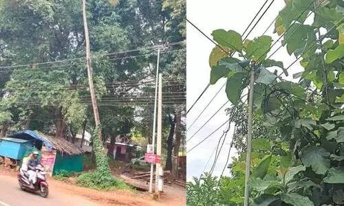 ദുരന്തങ്ങൾക്ക് കാതോർത്ത് അധികൃതർ