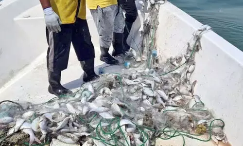 നി​യ​മ​വി​രു​ദ്ധ മ​ത്സ്യ​ബ​ന്ധ​ന​വും സ​മു​ദ്ര മ​ലി​നീ​ക​ര​ണ​വും; ന​ട​പ​ടി വേ​ണം