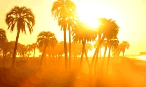 ഒമാനിൽ ചൂടോട് ചൂട് ഒമാനിൽ ചൂടോട് ചൂട്