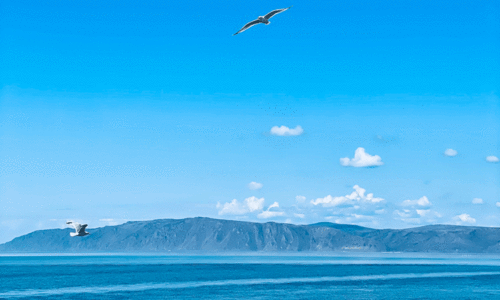 ‘ഇന്ത്യയുടെ മൊത്തം കരവിസ്തൃതിയുടെ രണ്ടര ഇരട്ടിയോളം വരുന്ന വനമേഖല, ലോകത്തിലെ ഏറ്റവും വലിയ മെട്രോ നെറ്റ്വർക്കുകളിൽ ഒന്ന്’ -വിസ്മയങ്ങളുടെ പറുദീസയായ റഷ്യയിലേക്കൊരു യാത്ര ‘ഇന്ത്യയുടെ മൊത്തം കരവിസ്തൃതിയുടെ രണ്ടര ഇരട്ടിയോളം വരുന്ന വനമേഖല, ലോകത്തിലെ ഏറ്റവും വലിയ മെട്രോ നെറ്റ്വർക്കുകളിൽ ഒന്ന്’ -വിസ്മയങ്ങളുടെ പറുദീസയായ റഷ്യയിലേക്കൊരു യാത്ര