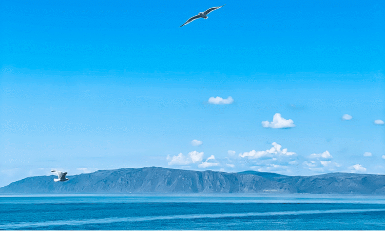 ‘ഇന്ത്യയുടെ മൊത്തം കരവിസ്തൃതിയുടെ രണ്ടര ഇരട്ടിയോളം വരുന്ന വനമേഖല, ലോകത്തിലെ ഏറ്റവും വലിയ മെട്രോ നെറ്റ്‌വർക്കുകളിൽ ഒന്ന്’ -വിസ്മയങ്ങളുടെ പറുദീസയായ റഷ‍്യയിലേക്കൊരു യാത്ര